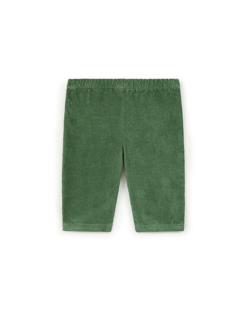 Pantalon - Gino Vert Bébé En Velours