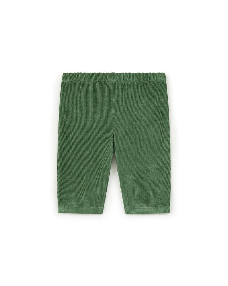Pantalon - Gino Vert Bébé En Velours