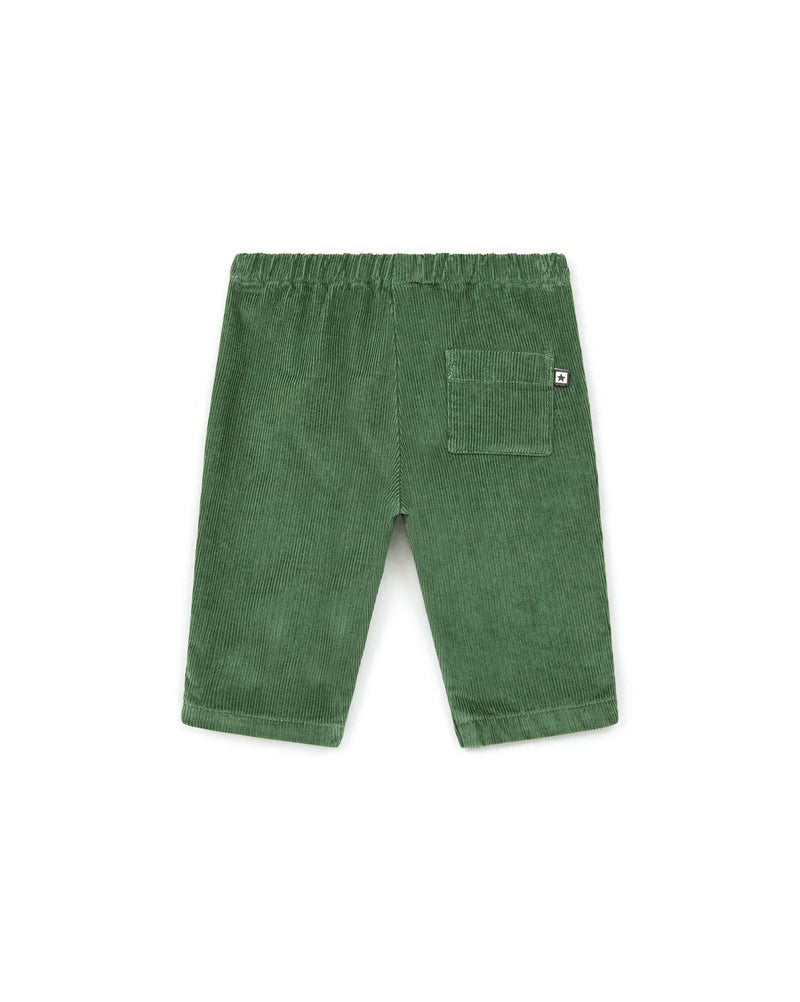 Pantalon - Gino Vert Bébé En Velours