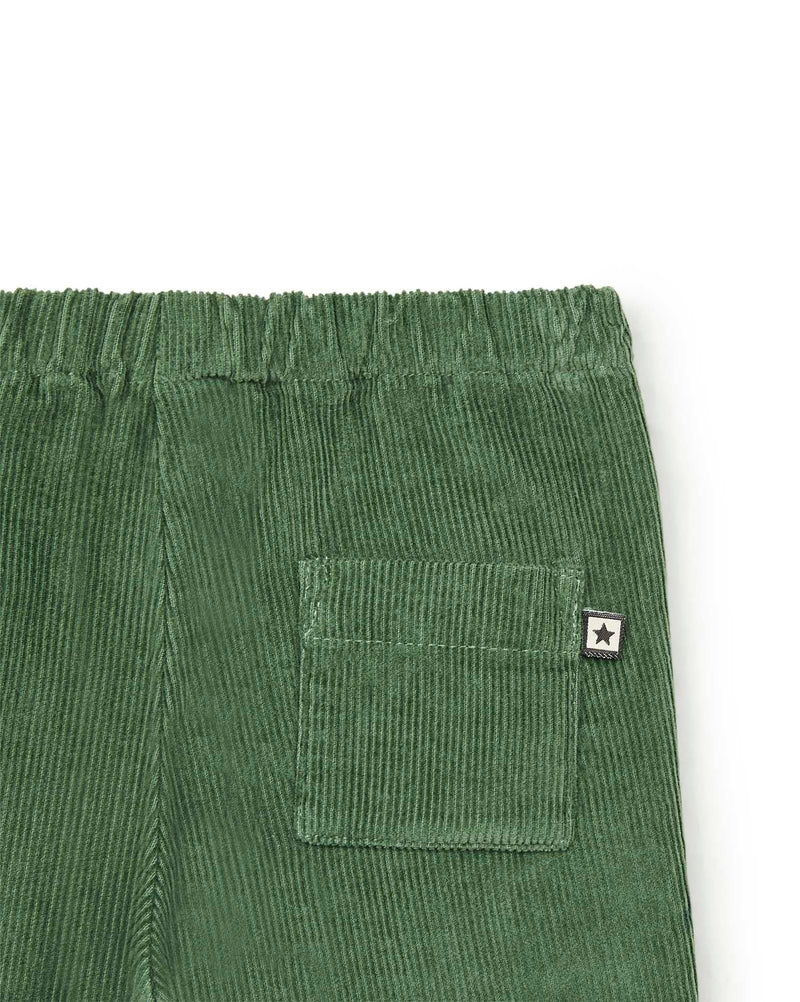 Pantalon - Gino Vert Bébé En Velours