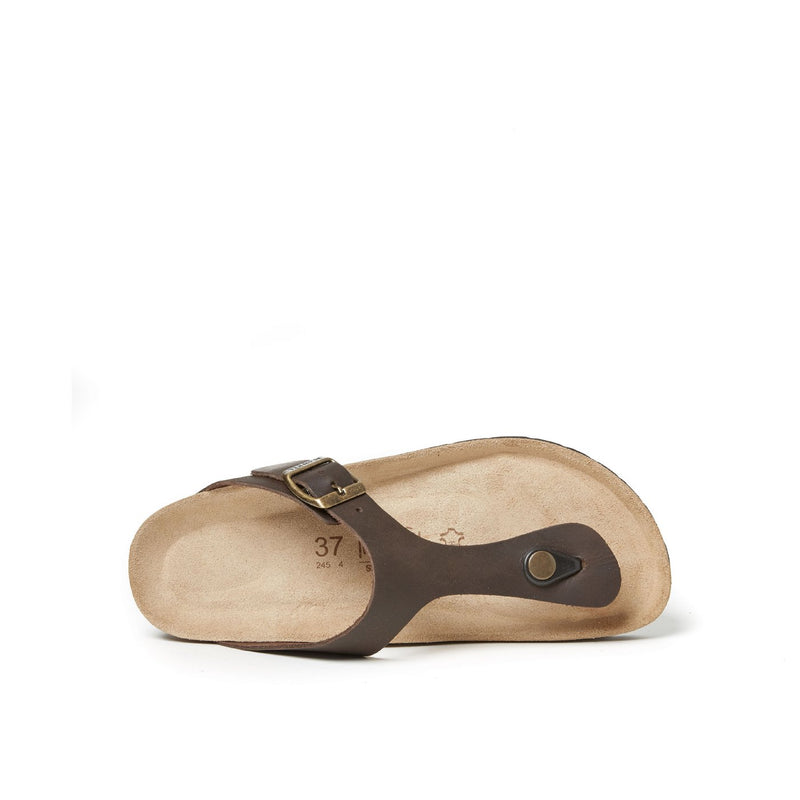 Blanca Oiled Leather Dark Brown Clogs - Women's