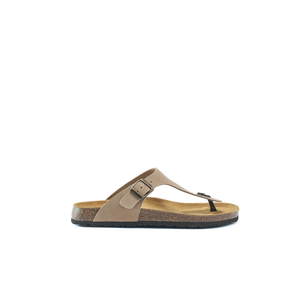 David Flip Flops - Taupe - Men