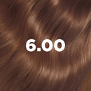 Couleur Absolue 6.00 Blond Foncé Coloration Permanente