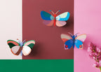 Lily Butterfly