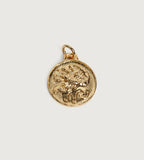 Zodiac Mini Pendant