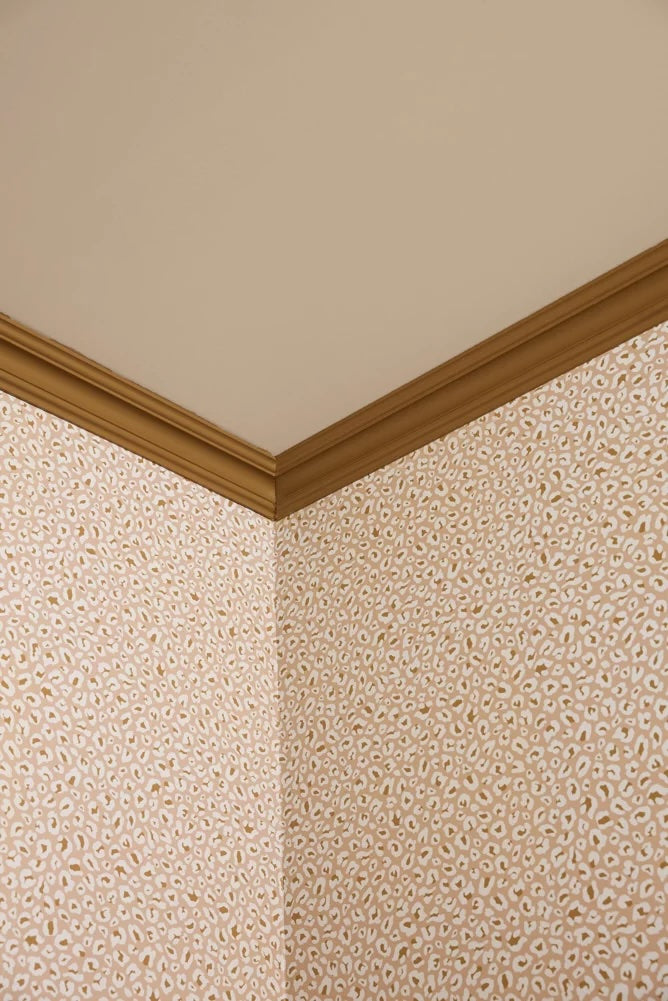 Paint - Crème Noisette