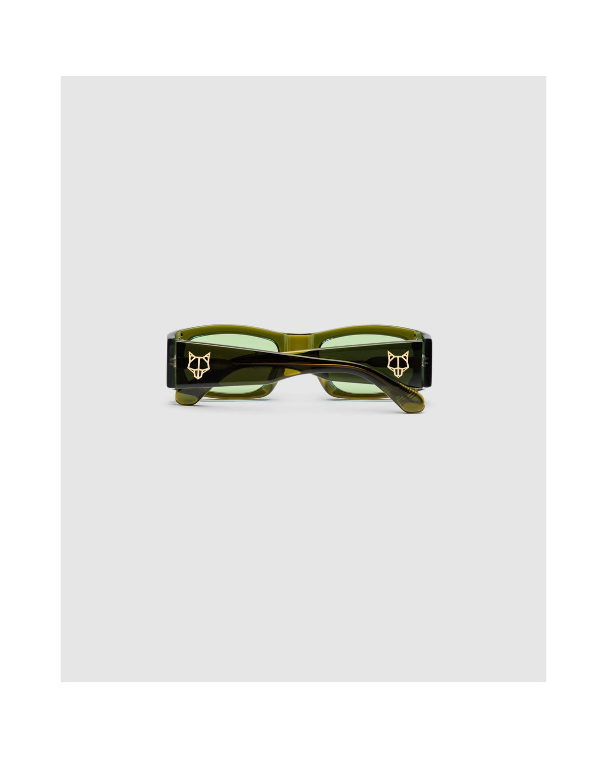 Sonnenbrille Motor - Waldgrün - Herren