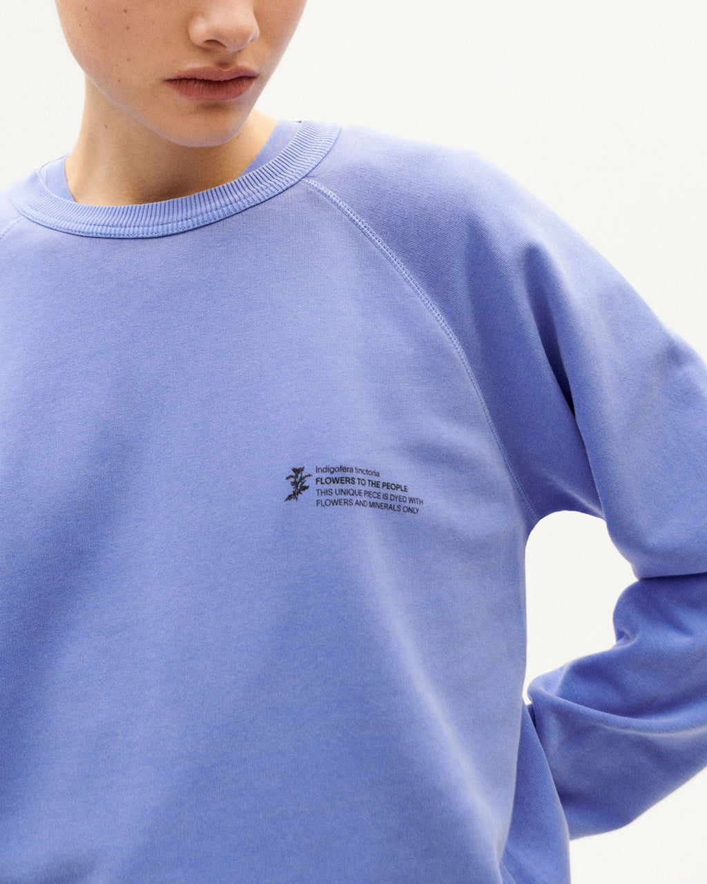 Sudadera Indigofera FTP unisex sostenible - 3