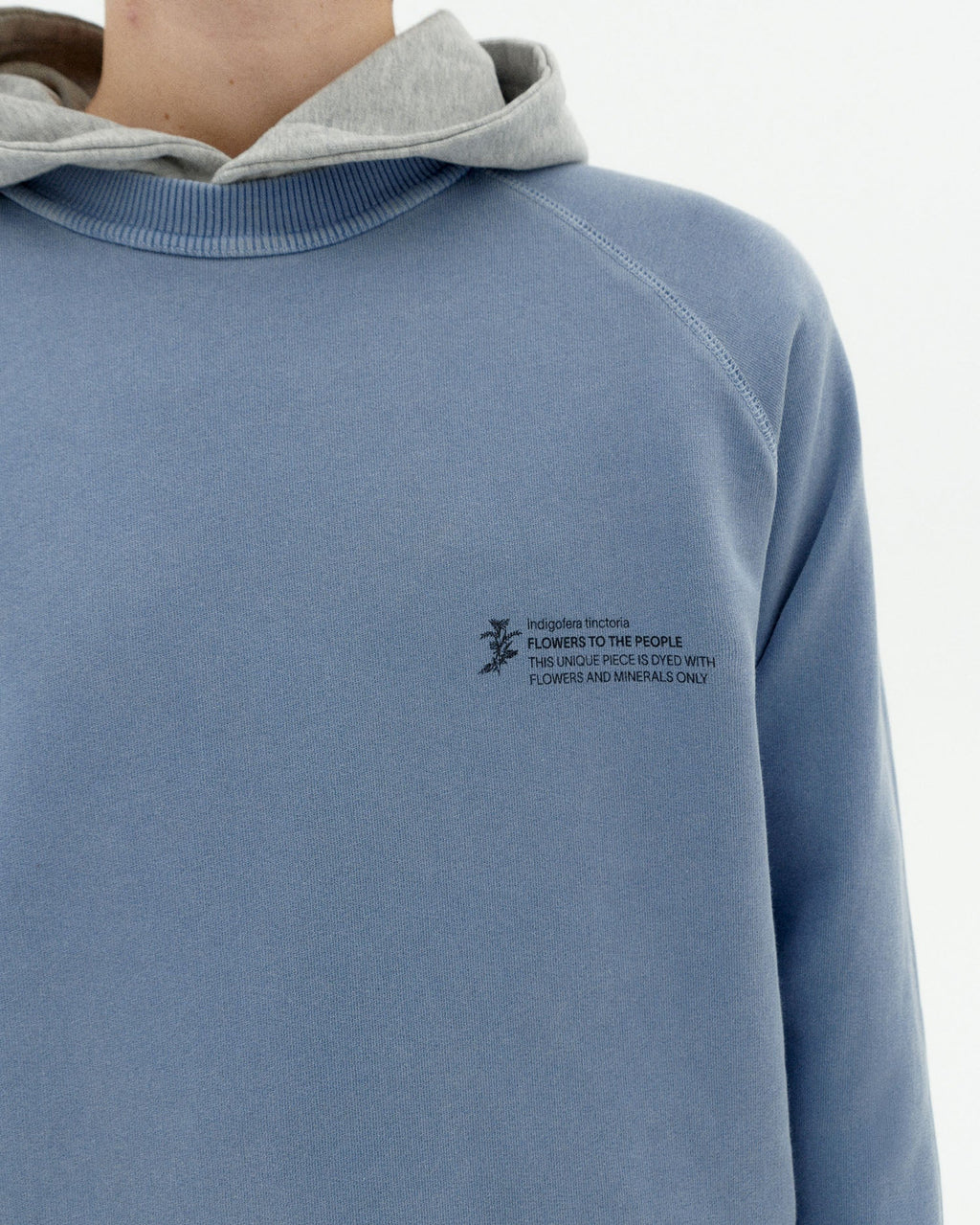 Indigofera tinctoria FTP unisex sweatshirt - 3