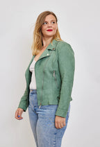 Perfecto Livio - Vert