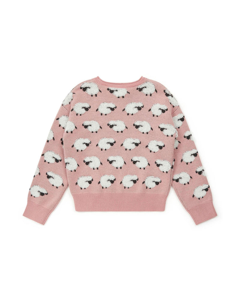 Pull Rose En Tricot Jacquard