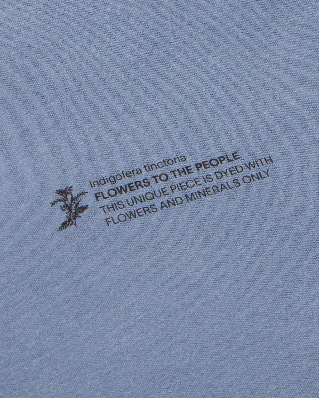 T-shirt indigofera tinctoria FTP unisex - silhouette 2