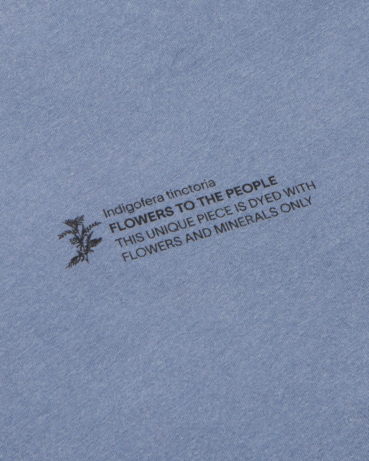 T-shirt indigofera tinctoria FTP unisex - silhouette 2