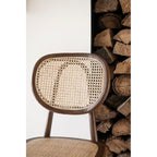 Eloise Dining Chair in Elm Wood - Brown