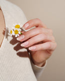 Daisies UV