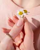 Daisy Dew UV