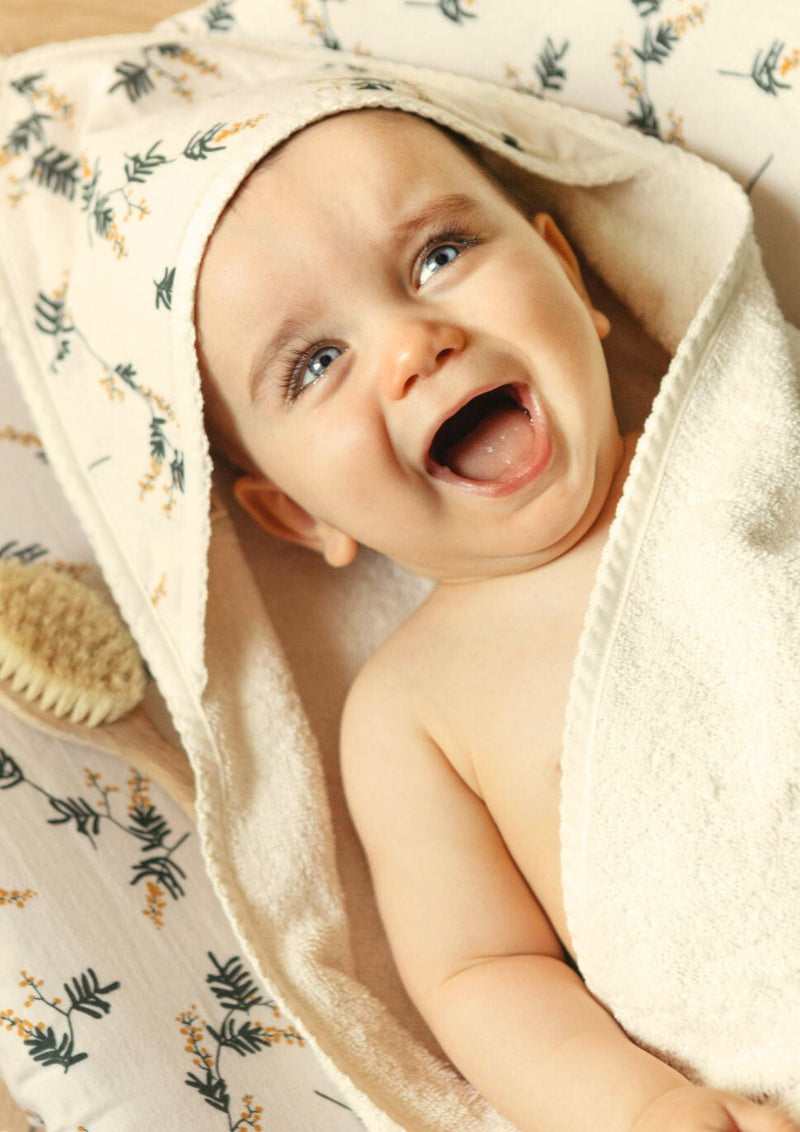 Cape De Bain - Mimosa