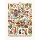 Sciences Naturelles - Fleurs Arbrisseaux