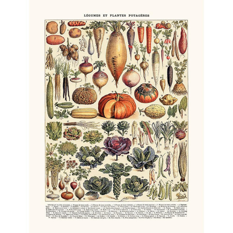 Salam Editions - Légumes