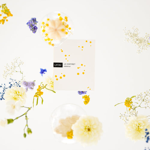 Umaï - Le Coffret Mimosa