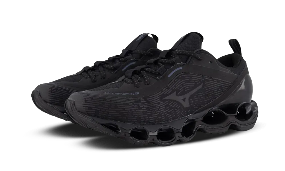 Wave Prophecy 13.2 Black Iron Gate - Noir