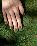 Moss UV