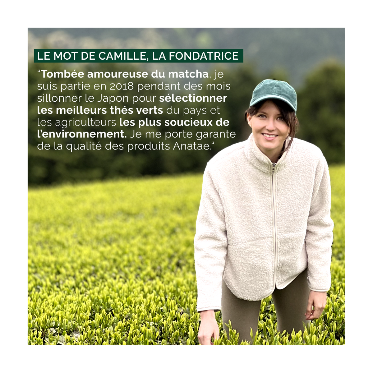 Thé Matcha Cérémonie