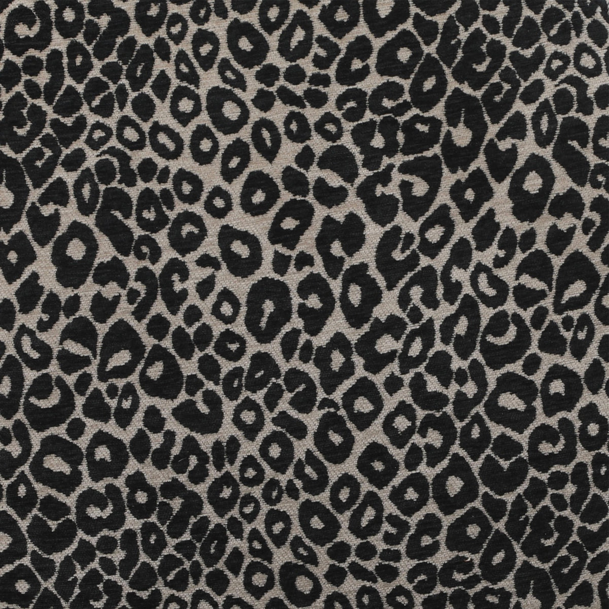 Noa - Set di 2 sedie - Tessuto con stampa leopardata nera