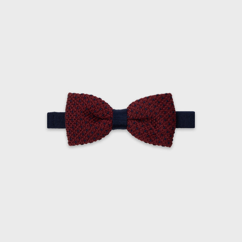 Noeud Papillon En Coton - Bordeaux Et Bleu