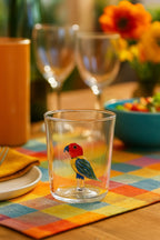 Savana Family Rio - Lot De 6 Verres Décorés - H9,3 Cm