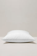 Oreiller Naturel - Duvet Et Plumes