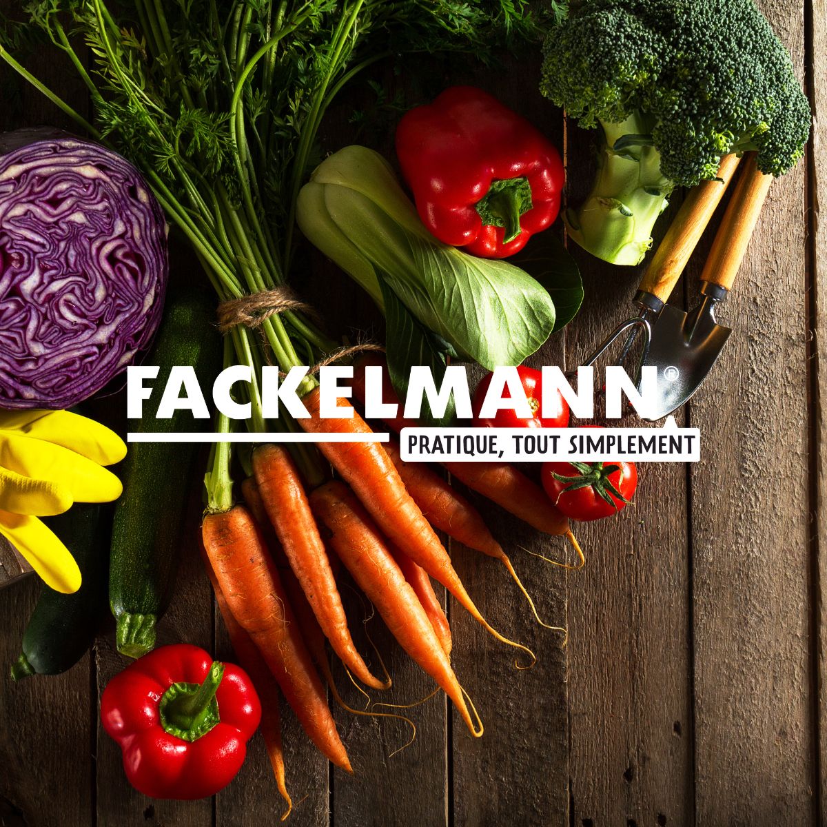 Set De 2 Passoires Inox Fackelmann - Gris