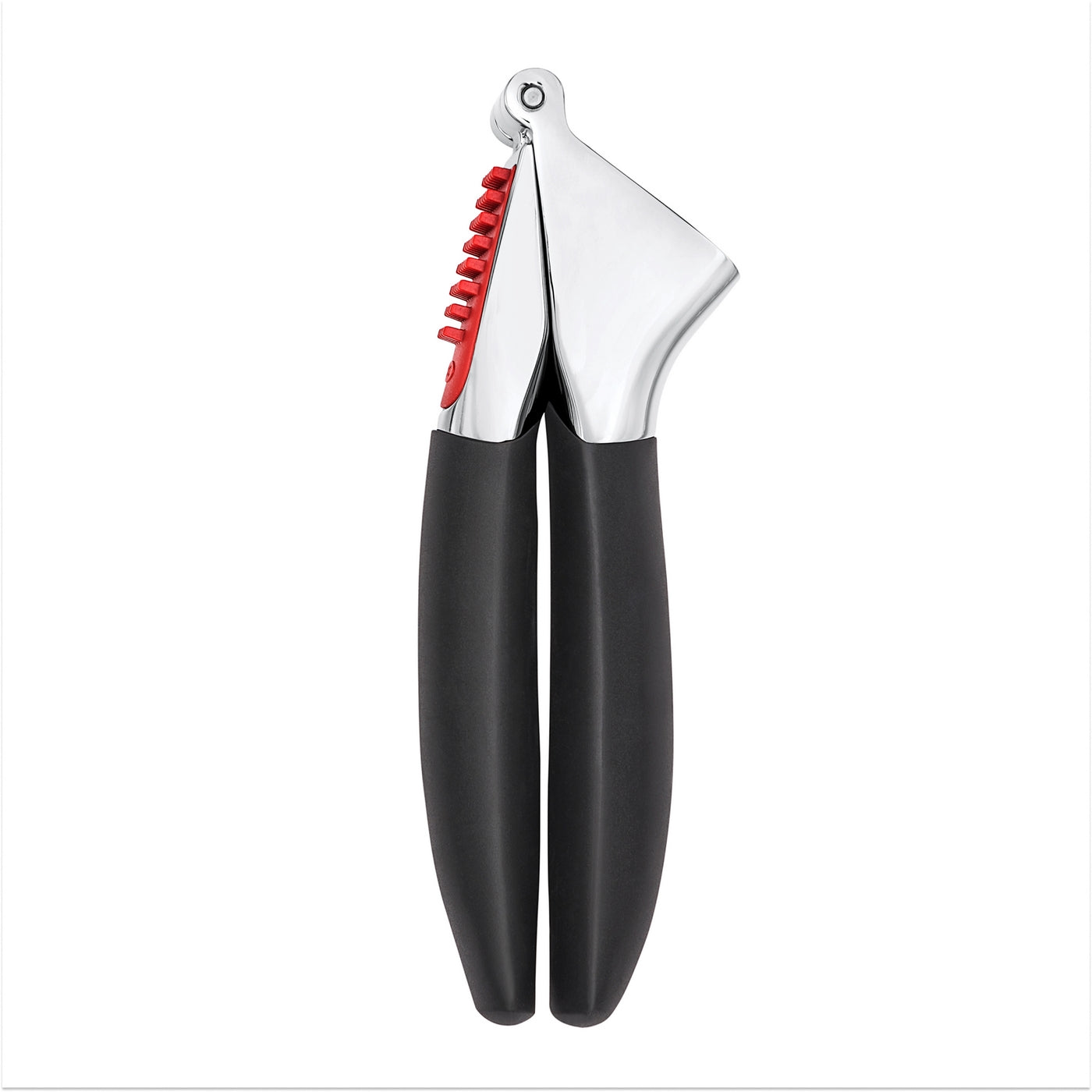 Garlic Press