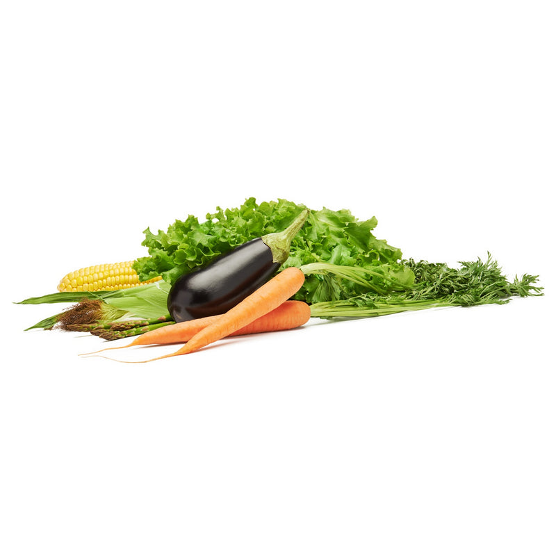 Boite De Conservation Fruits Et Legumes Greensaver 4,7 L