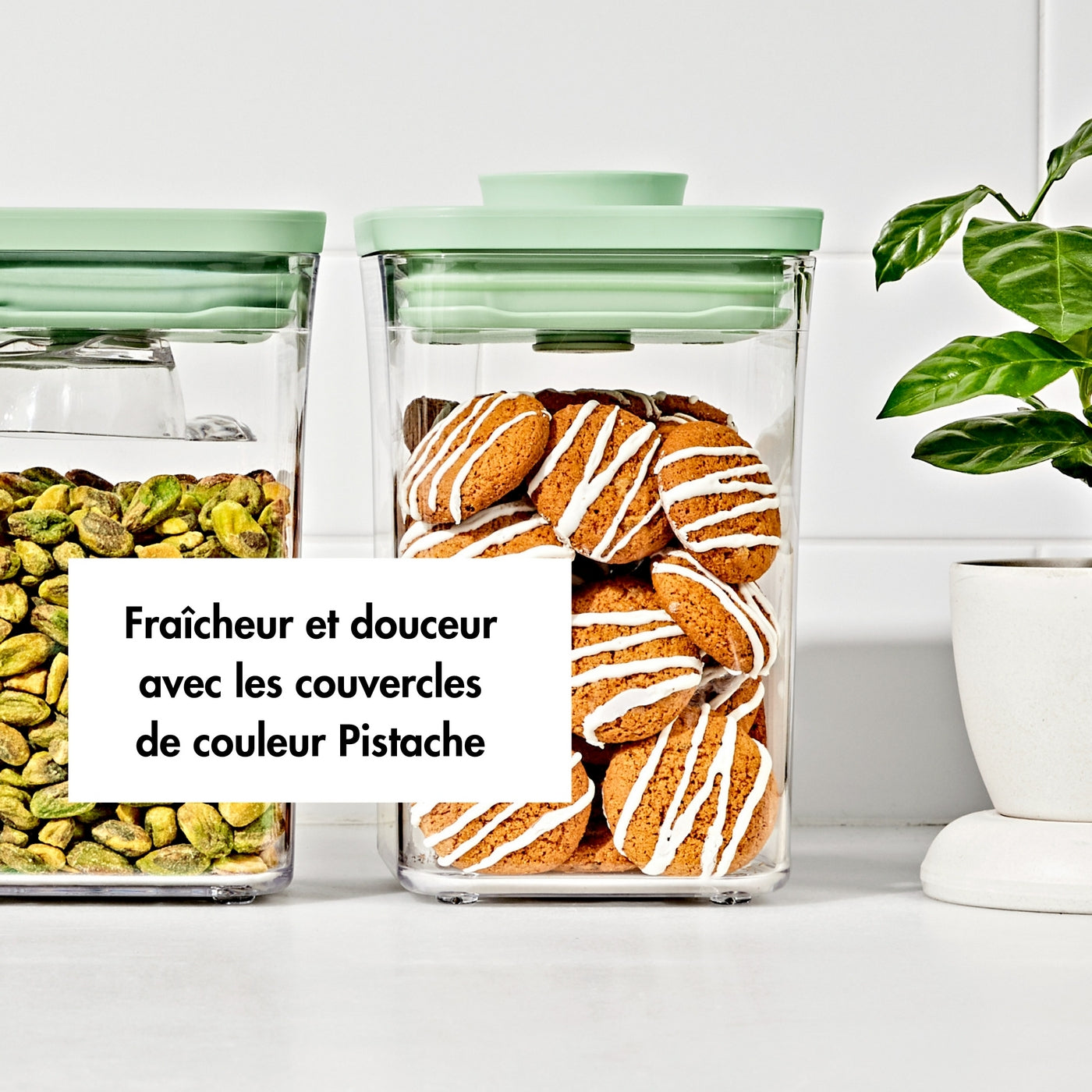 Set Of 3 Pistachio Pop Boxes