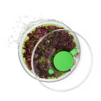 Ensaladera Verde 26 Cm