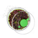 Essoreuse A Salade Verte 26 Cm