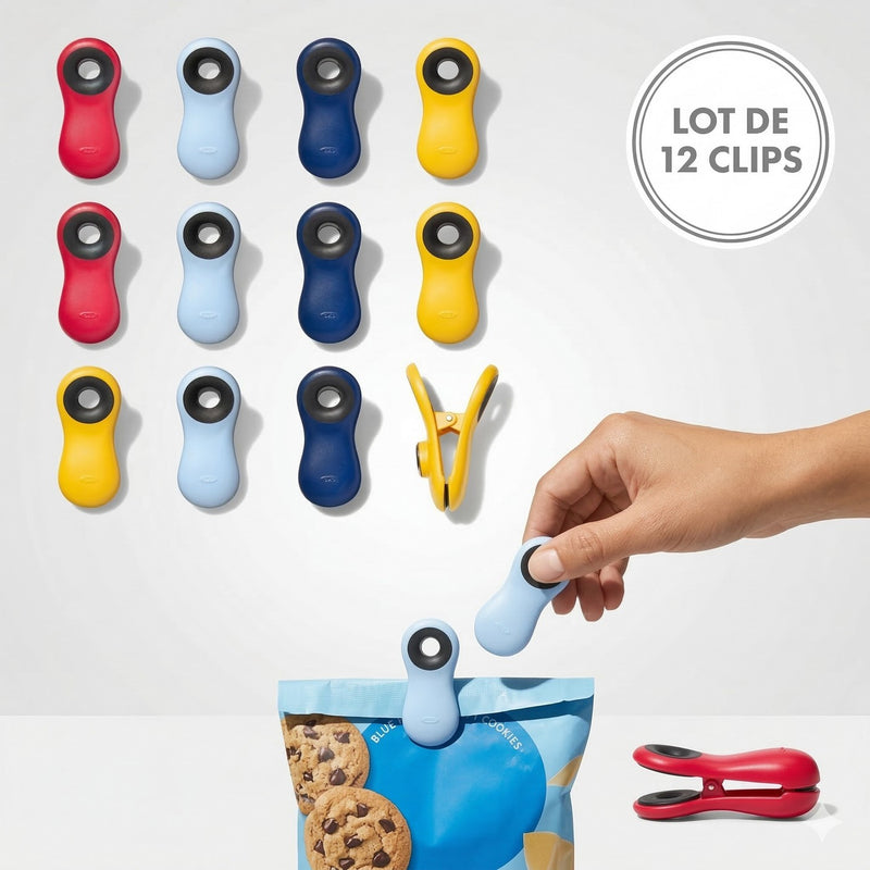 Lot : 12 Clips Magnétiques