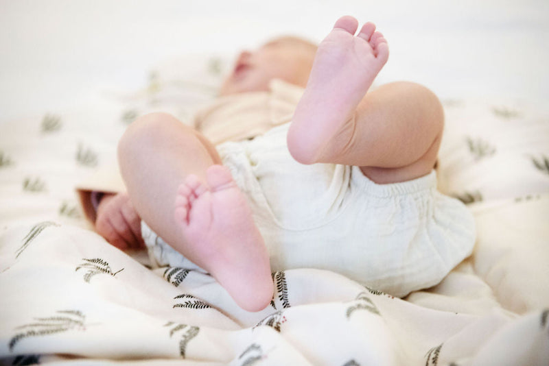 Lot De 2 Langes  - Fougère Vert Pin