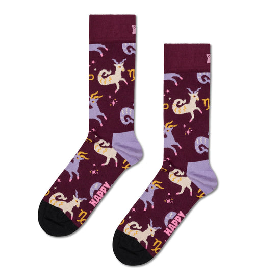 Chaussettes Capricorn
