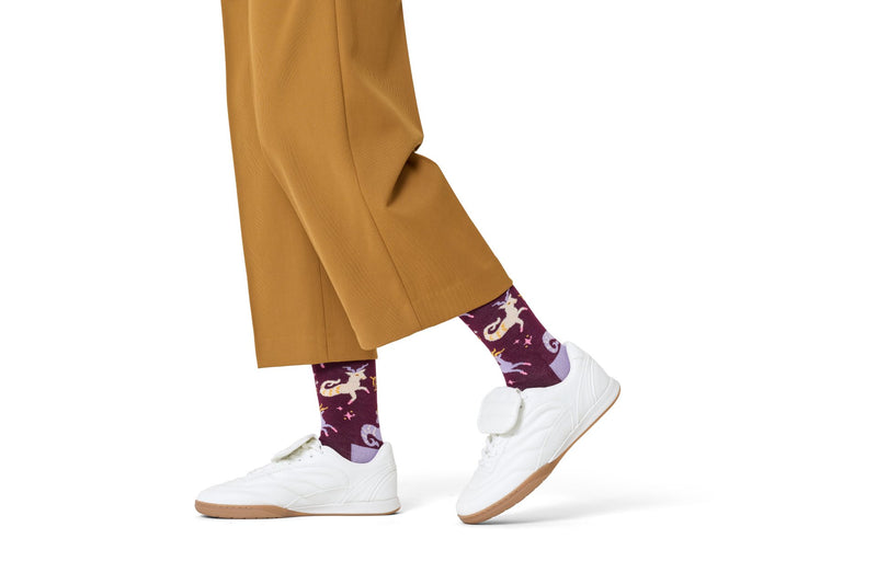 Chaussettes Capricorn