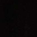 Pantalon - Noir - Femme