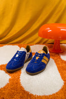 Baskets Blue Heritage