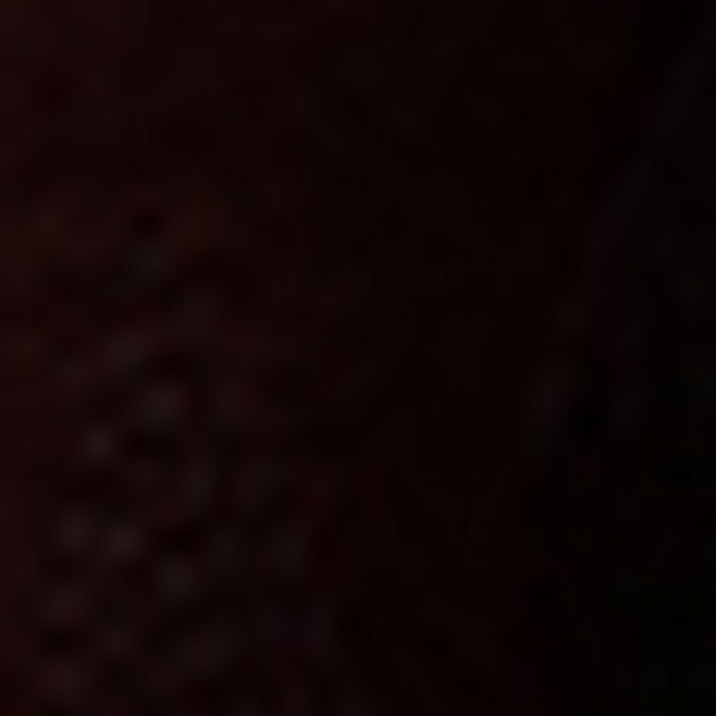 Bottes Billy - Marron