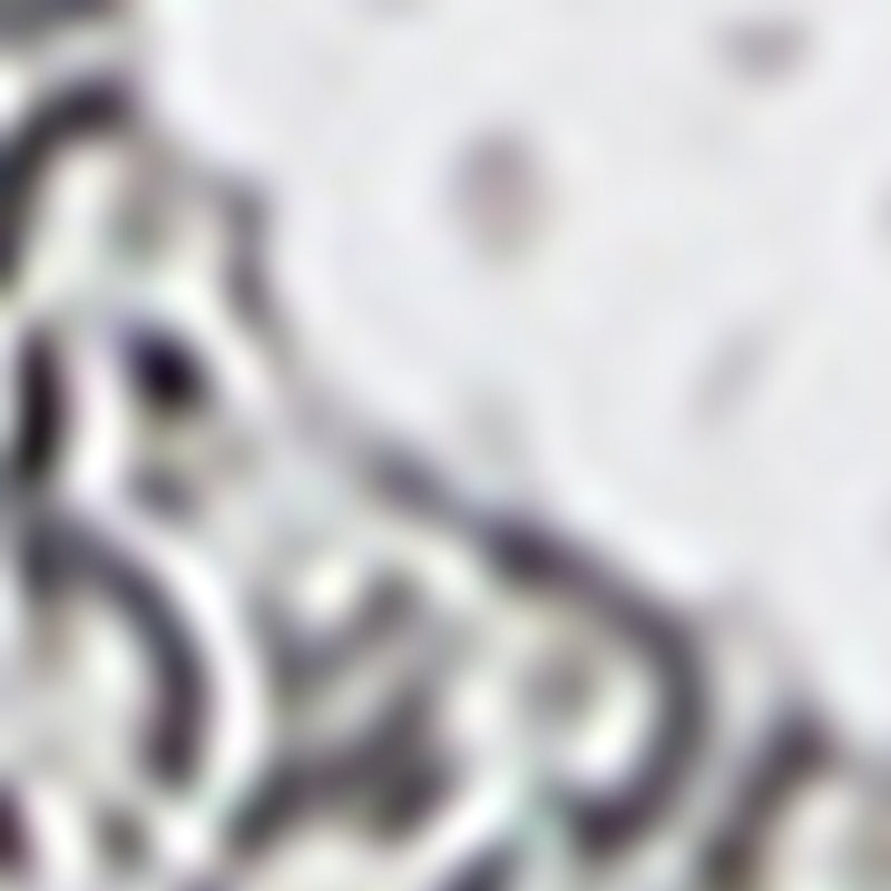 Top Benita - Argent