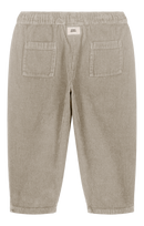 Carrot Corderoy Gray Trousers