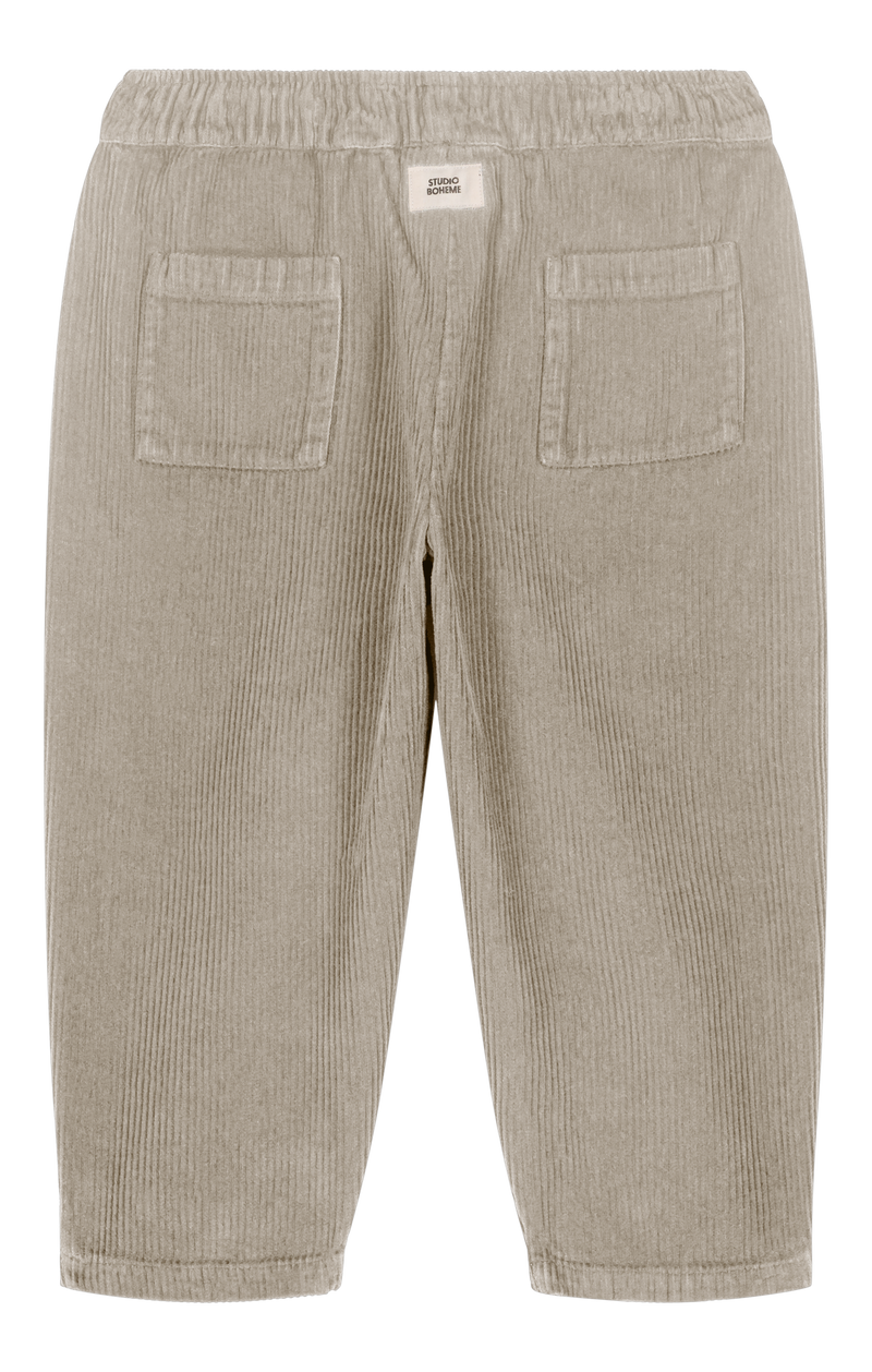 Carrot Corderoy Gray Trousers