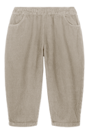 Carrot Corderoy Gray Trousers