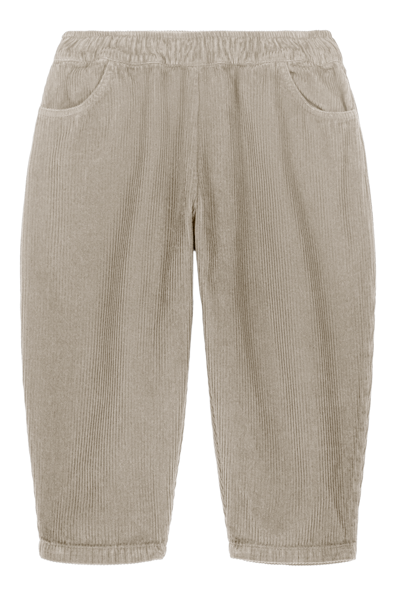 Carrot Corderoy Gray Trousers