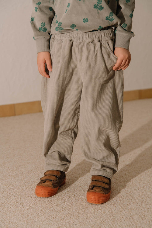 Pantalón Gris Pana Zanahoria